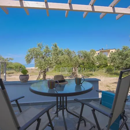 Terra Di Olive * Потос