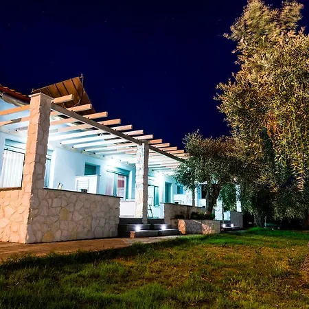 Terra Di Olive * Потос