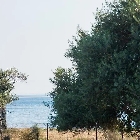 Terra Di Olive Apartament