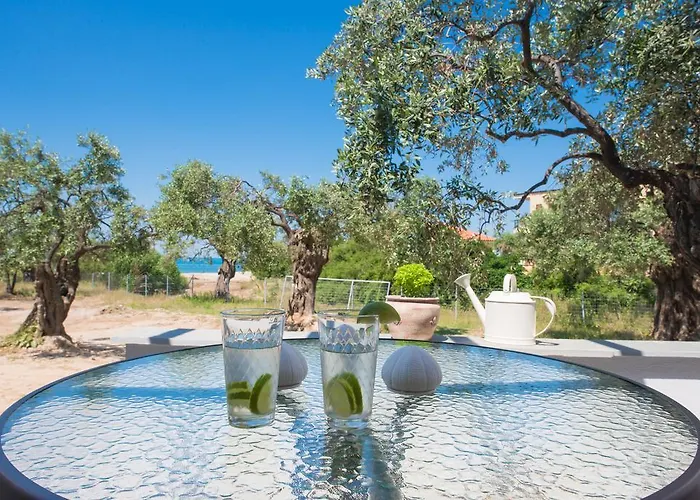 Terra Di Olive *