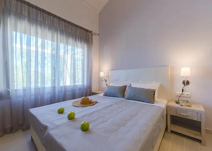Terra Di Olive