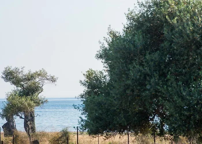 Terra Di Olive Apartmán